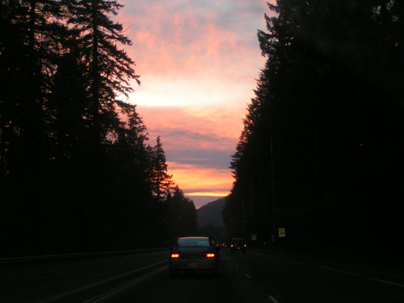 PICT0121