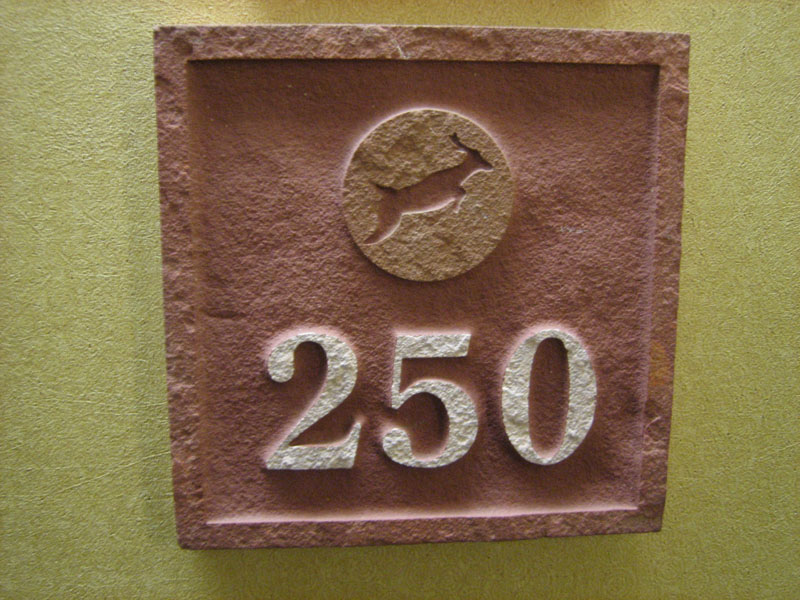 158-IMG_1642