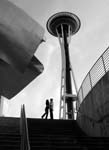 emp4bw_web