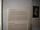 41-IMG_1887