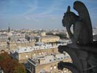19-IMG_0978