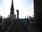 22-IMG_0979