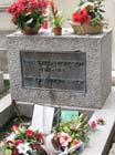 38-IMG_3651