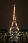 25-IMG_4536