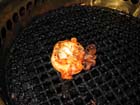 157-IMG_6929