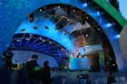 12-IMG_9023