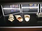 49-IMG_7240