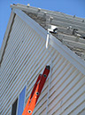 IMG_1120